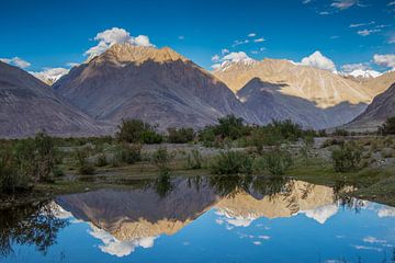 Nubra vallei, Ladakh, India van Jan Fritz