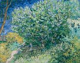 Lilas Bush, Vincent van Gogh par The Masters Aperçu