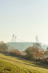 Weserstadion mit Morgennebel, Bremen