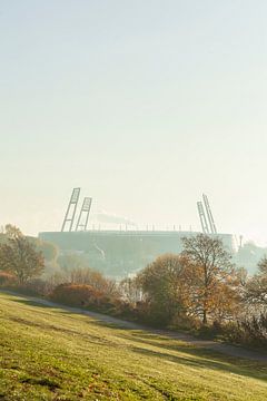 Weser stadion met ochtendmist, Bremen