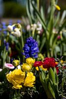 Rathenow „Stadt der Optik“