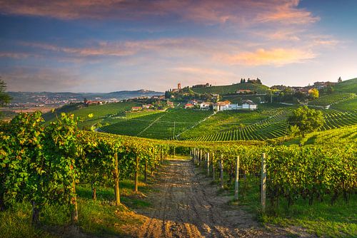 Barbaresco dorp en Langhe wijngaarden. Italië