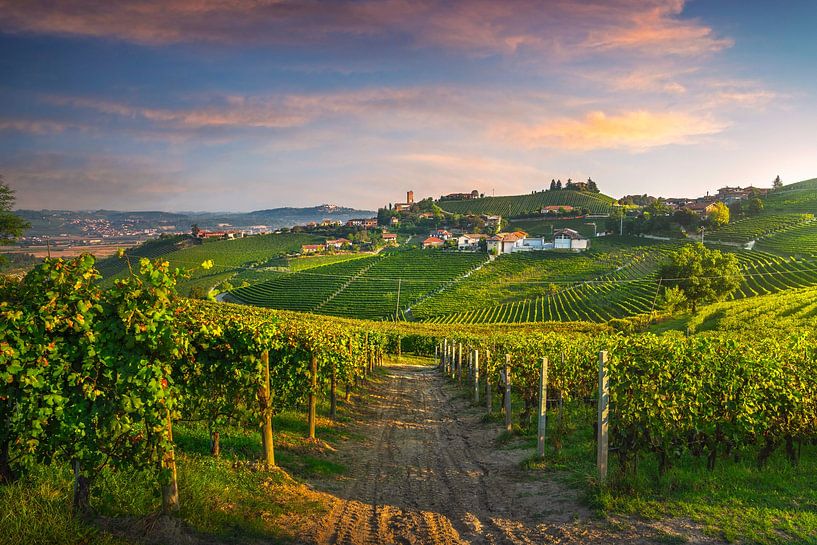 Barbaresco dorp en Langhe wijngaarden. Italië van Stefano Orazzini