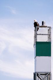 Bald eagle by Marc Lehmann