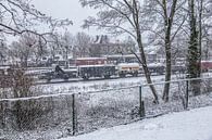 Genieten van de eerste sneeuw in Zuid-Limburg van John Kreukniet thumbnail