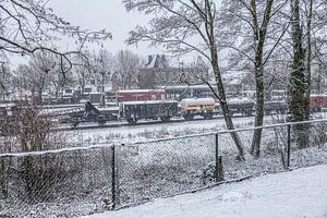 Enjoying the first snow in South Limburg