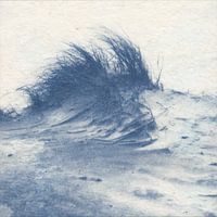Dune