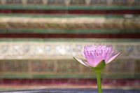 Lily at Wat Phra Kaew