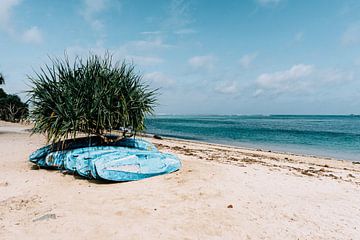 Kano's op het strand in Kuta, Lombok van Expeditie Aardbol