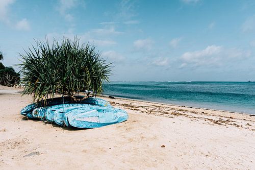 Kano's op het strand in Kuta, Lombok