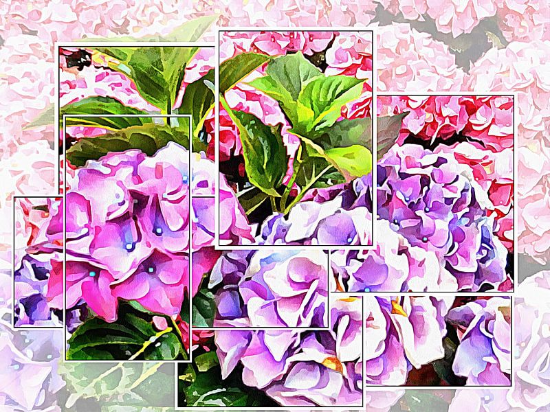 Hydrangeas Montage by Dorothy Berry-Lound