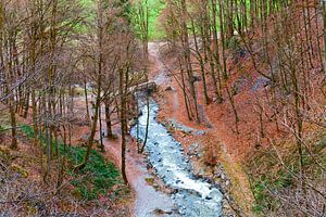 Ein Bächlein mitten durch den Herbstwald