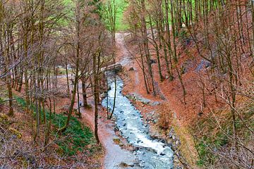 Un petit ruisseau au milieu de la forêt d'automne sur Christa Kramer