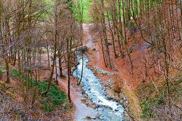 Ein Bächlein mitten durch den Herbstwald von Christa Kramer