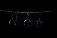 Still life of cherries on a rope