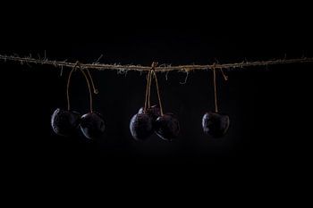 Stilleven van kersen aan een touwtje