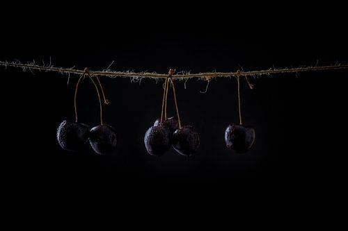 Stilleven van kersen aan een touwtje