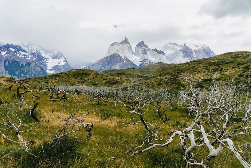 Wanderweg im Torres del Paine Nationalpark mit Ausblick auf das Torres Paine Massiv von Shanti Hesse