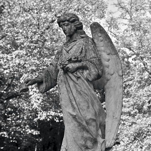 Betoverende engel in de herfst - monochroom