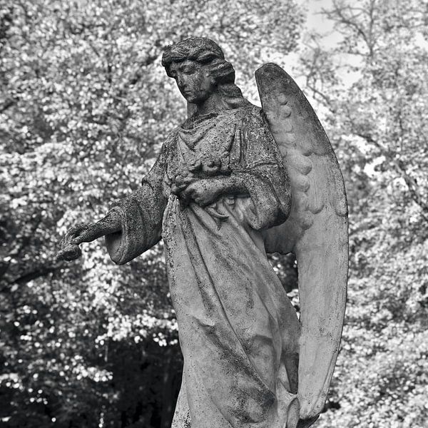 Enchanting angel in autumn - monochrome by Silva Wischeropp