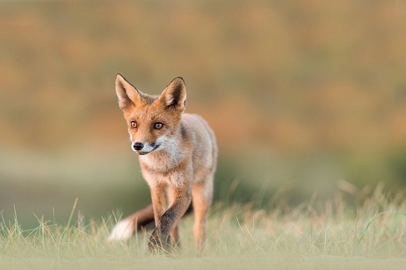 Spotlight von Larissa Rand