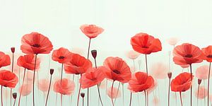 Mohnblumen