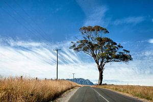 Road to Roland van René Kempes