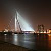 Zwaan - Erasmusbrug Rotterdam van Jasper Hovenga