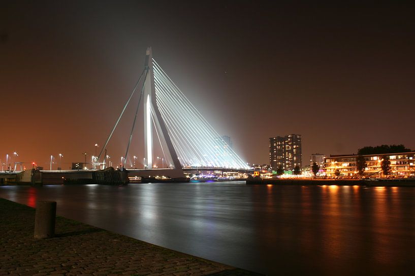 Zwaan - Erasmusbrug Rotterdam van Jasper Hovenga