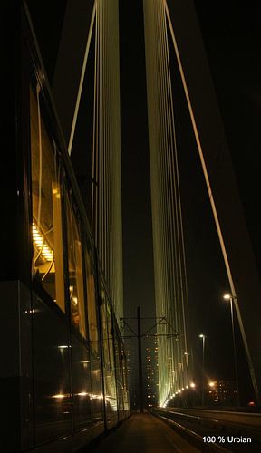 100% Erasmusbrug