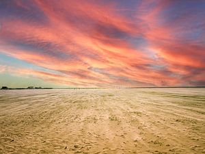 Sand on the North Sea Beach by Animaflora PicsStock