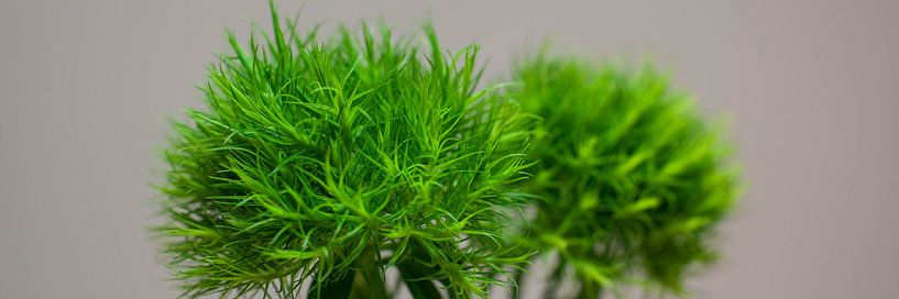 Green 1 par Mona Stut