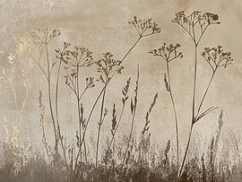 Wildblumen von Zen und Mehr