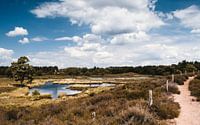 Hatertse en Overasseltse Vennen, beautiful panoramic view