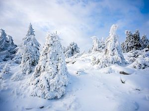 Winter im Harz