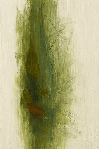 Olivenfluss – Rhythmus der grünen Landschaften
