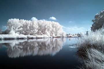 Infrarood zomer landschap met bomen reflectie in water winterlook van Annemarie Wassink