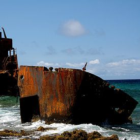 Shipwrecked von Gerwin Altena
