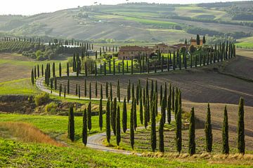 Laan met cipressen in de Crete Senesi, Toscane, Italië van Discover Dutch Nature