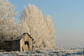 Winter landscape in the morning by Wim Priem