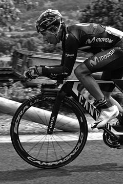 Nairo Alexander Quintana Rojas, Tour de France 2016 sur Jeroen Somers