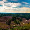 Heather, panorama de la Posbank sur Nynke Altenburg
