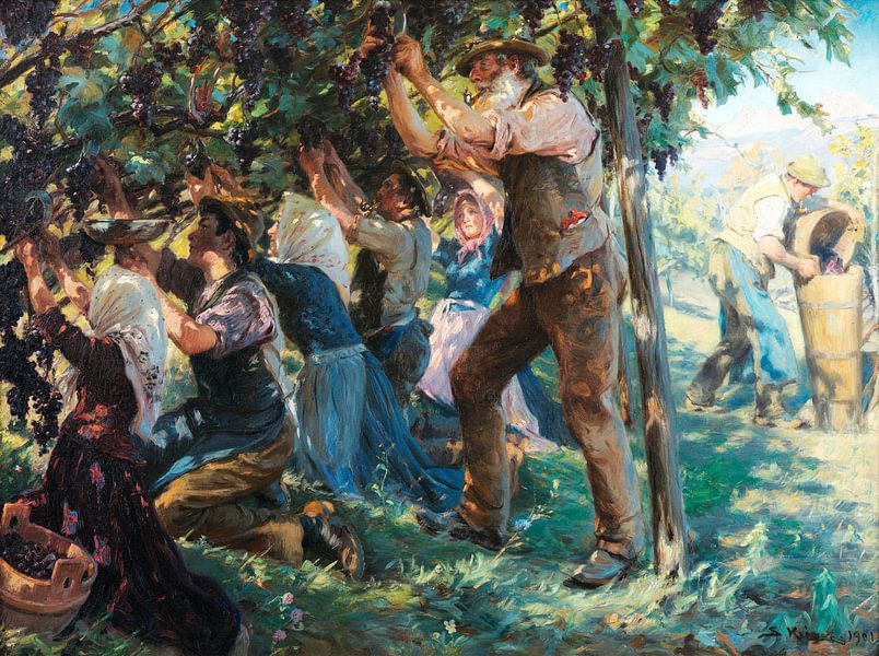 Kroyer