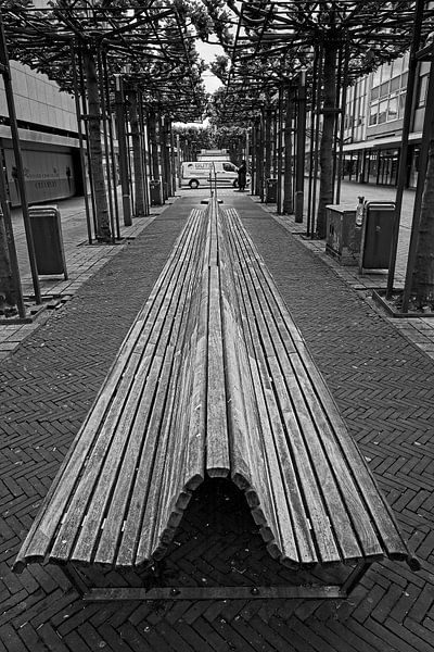 The Bench by Rob Boon