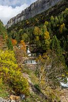 Waterfall among autumn colours in spain