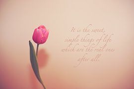 Einfache Dinge von LHJB Photography