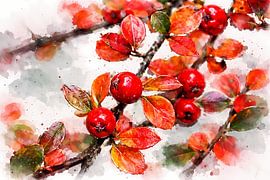 Red berries