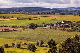 Eyserhalte von Rob Boon