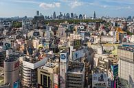 Tokyo Panorama von Tom Uhlenberg Miniaturansicht