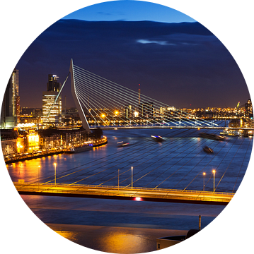 Rotterdamse bruggen in de avond van Dennis van de Water